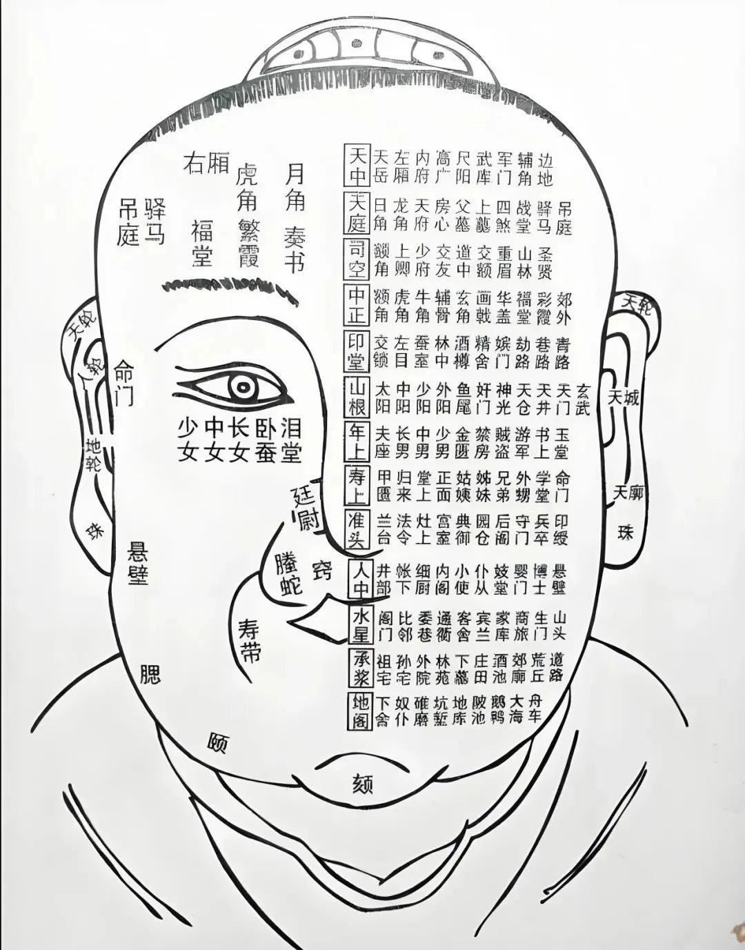 相学——面相铁口直断四十招（上、下）全篇