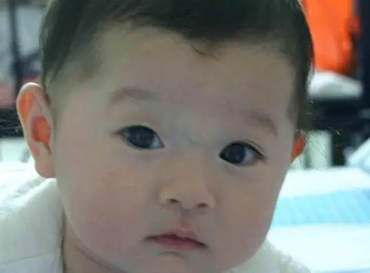 相学——面相铁口直断四十招（上、下）全篇