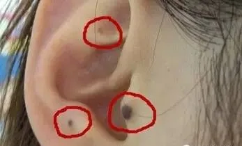 相学——面相铁口直断四十招（上、下）全篇