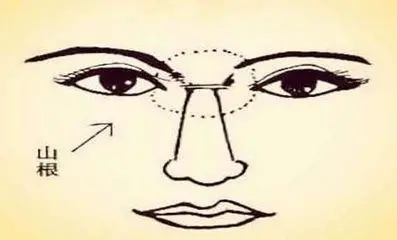 相学——面相铁口直断四十招（上、下）全篇