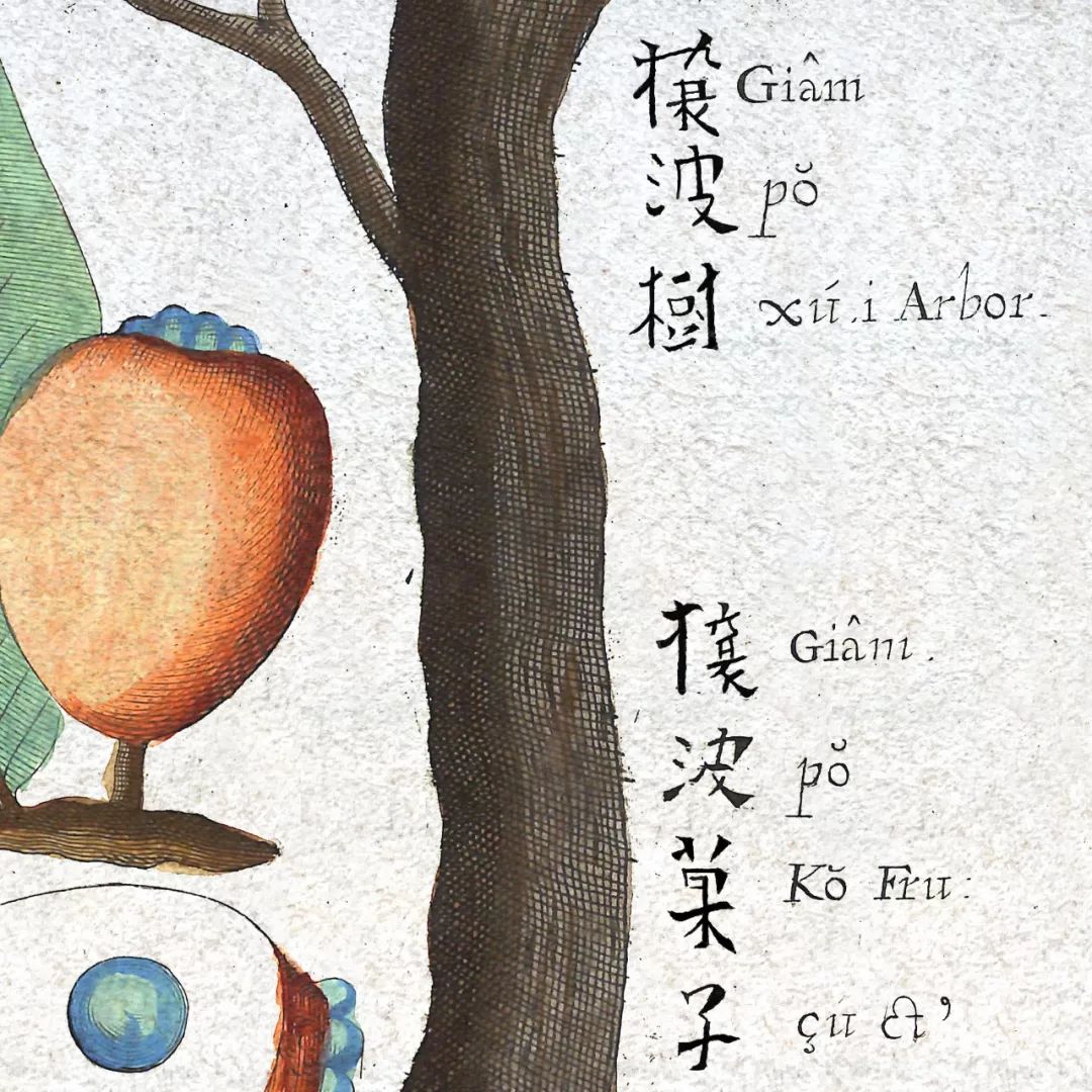 文章标题-7 西方古籍中的汉文字体