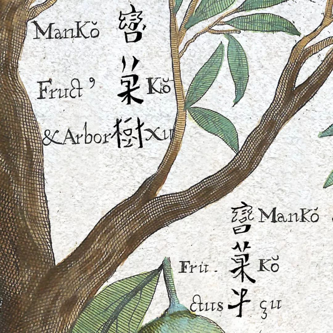 文章标题-8 西方古籍中的汉文字体