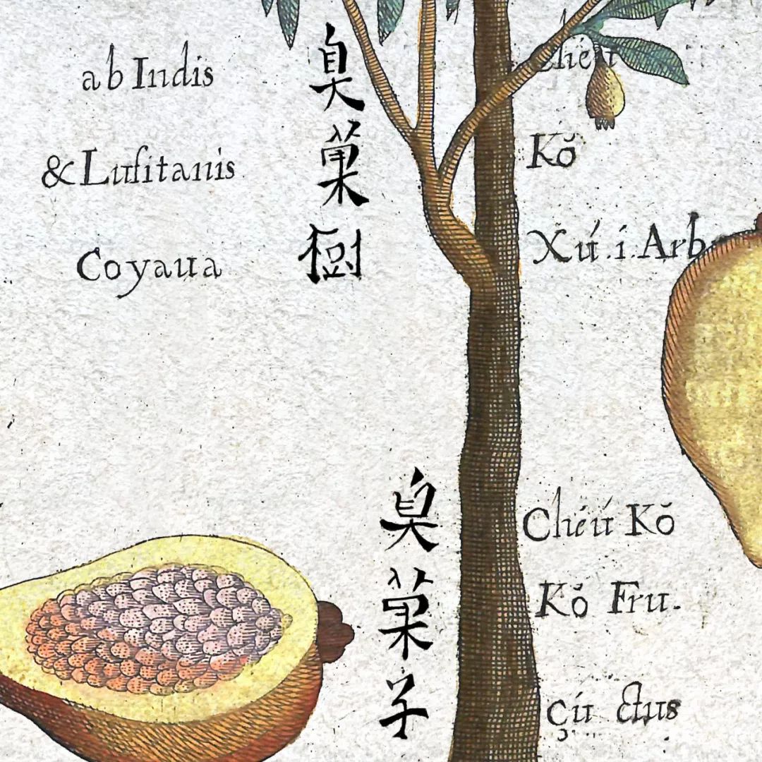 文章标题-9 西方古籍中的汉文字体