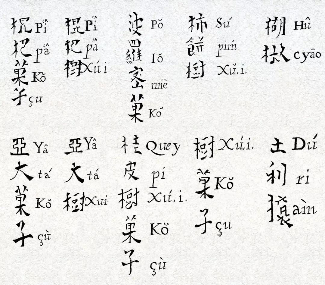 文章标题-10 西方古籍中的汉文字体