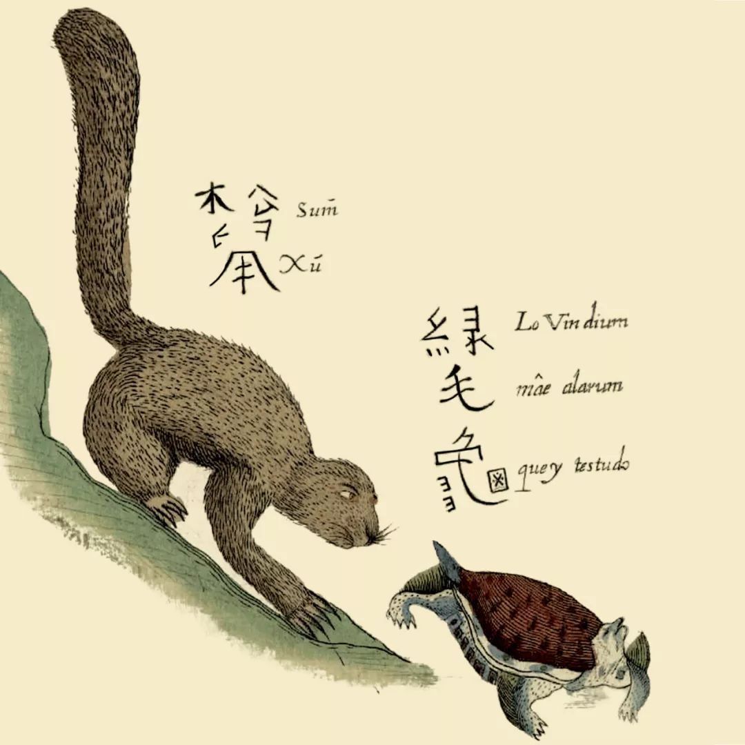 文章标题-12 西方古籍中的汉文字体