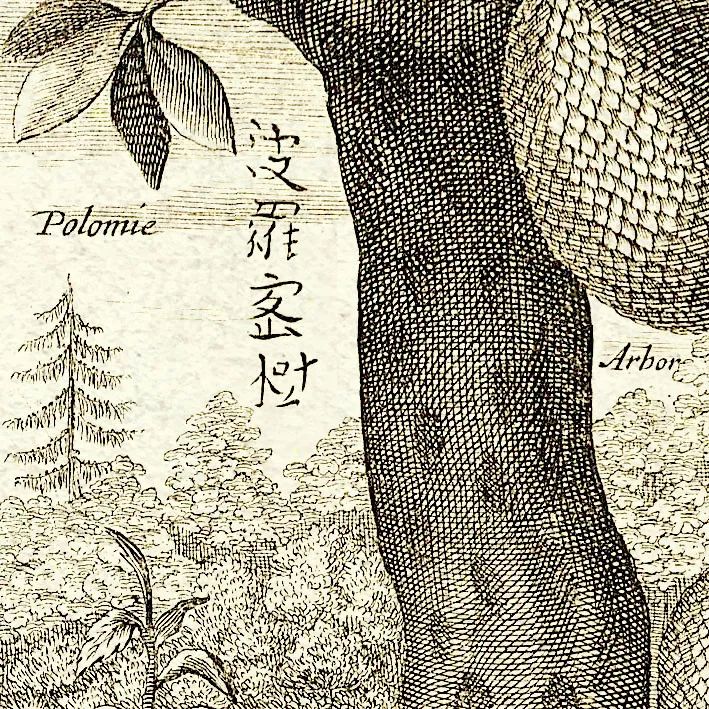 文章标题-13 西方古籍中的汉文字体