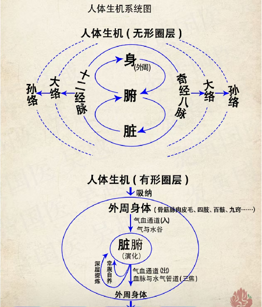 文章标题-19 中医牛人:人没本事,从面相就看的一清二楚!