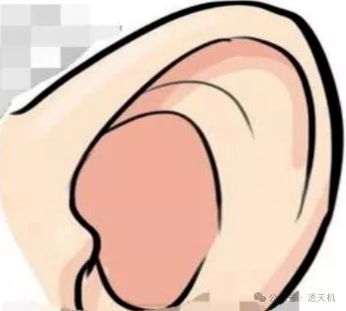 图文并茂的民间相学