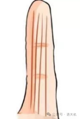 文章标题-9 图文并茂的民间相学