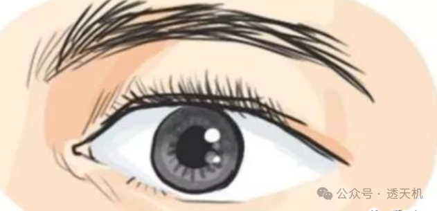 文章标题-10 图文并茂的民间相学