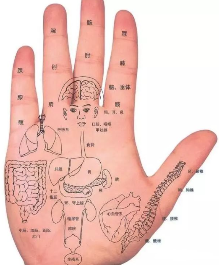 相学——手相图解大全，通读三遍能入门