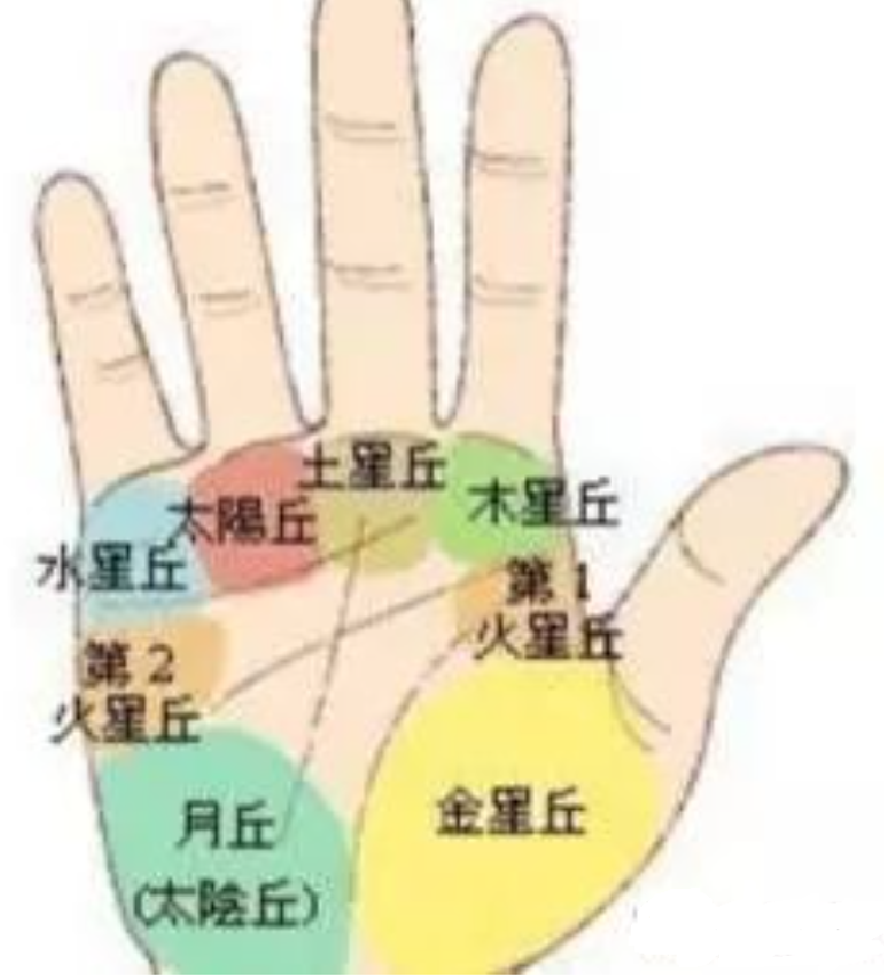 相学——手相图解大全，通读三遍能入门