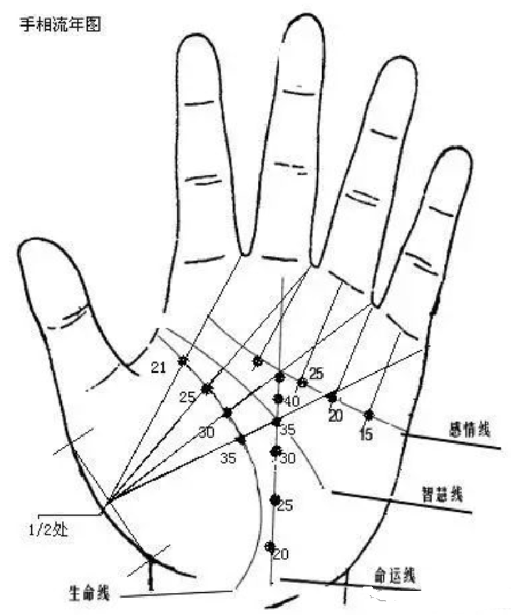 相学——手相图解大全，通读三遍能入门