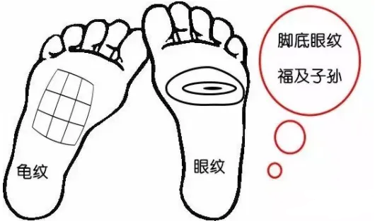 相学——脚相：看脚知运势