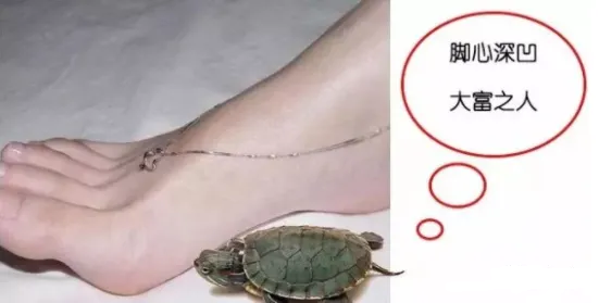 相学——脚相：看脚知运势