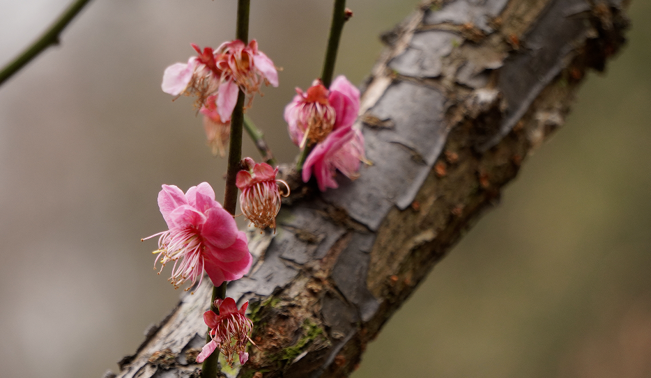 文言文中比诗词还美的50个句子，值得一读