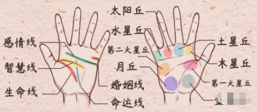 相学——感情线鉴定法