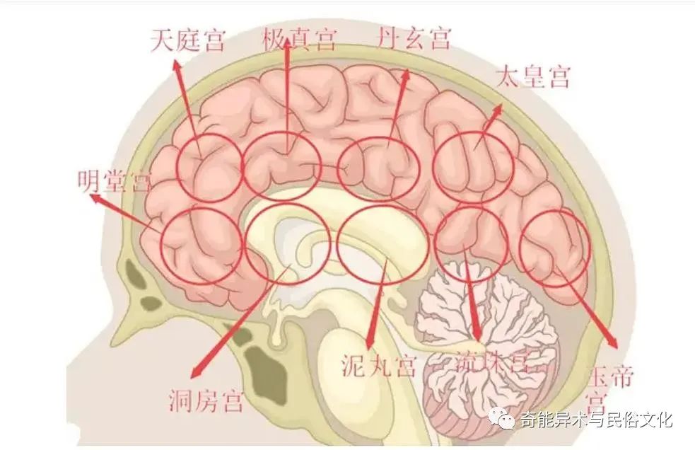 文章标题-2 道家“大脑九宫”修炼,揭示灵性之谜(附:太一功基础功法)