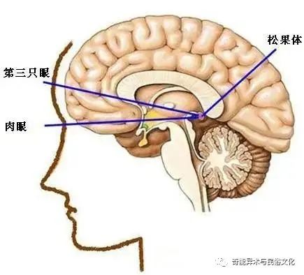 文章标题-3 道家“大脑九宫”修炼,揭示灵性之谜(附:太一功基础功法)