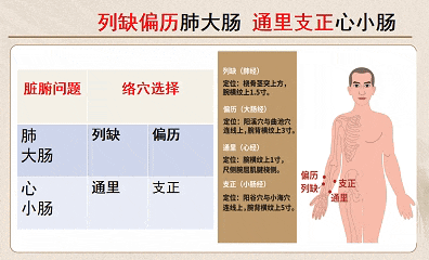 文章标题-25 中医牛人:人没本事,从面相就看的一清二楚!