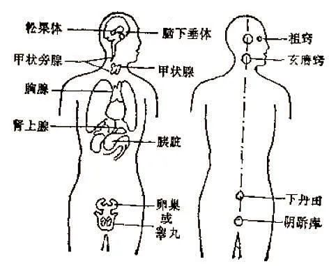 文章标题-6 道家“大脑九宫”修炼,揭示灵性之谜(附:太一功基础功法)