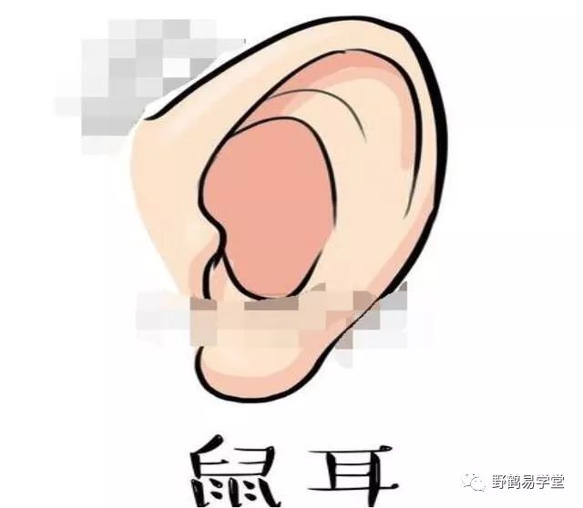 文章标题-1 非常实用的民间相法!