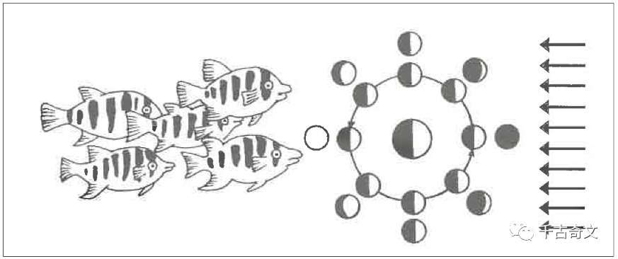 易经的时空背景【何为“两仪”？】