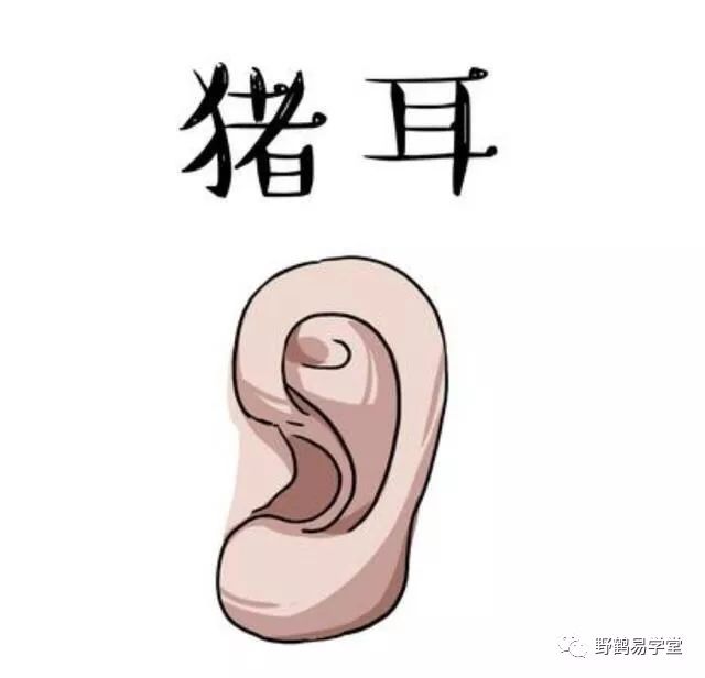 文章标题-24 非常实用的民间相法!