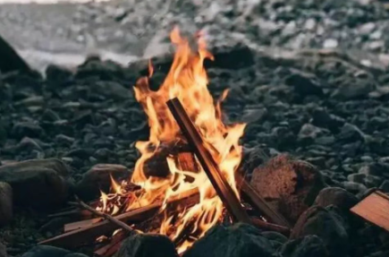 丹蕨·每日课 | 福道