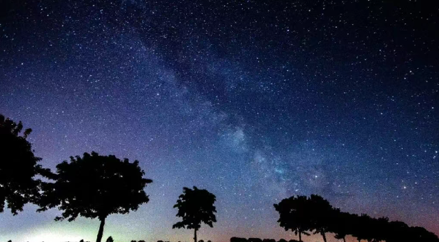 文章标题-1 丹蕨·每日课 | 仁者必有大慧