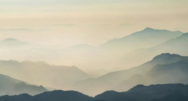 丹蕨·每日课 | 想的明白、干的明白、赢的明白