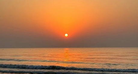 文章标题-1 丹蕨·每日课 | 慎终追远,民德归厚矣