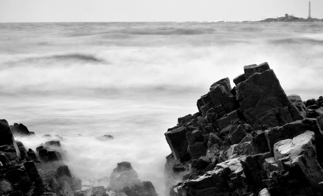 丹蕨·每日课 | 临机对话：人生态度