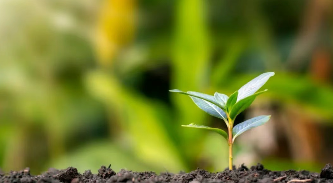 丹蕨·每日课 | “如何能得福报？”