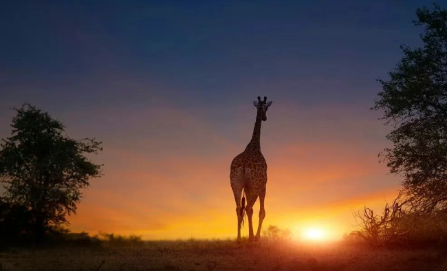 丹蕨·每日课 | 毋意毋必毋固毋我