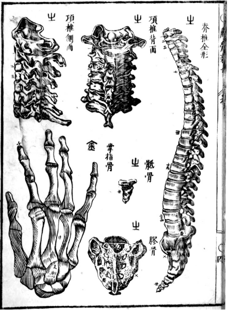 文章标题-1 明末清初西方科技插图的传播对本土美术的影响——以《奇器图说》为主要线索