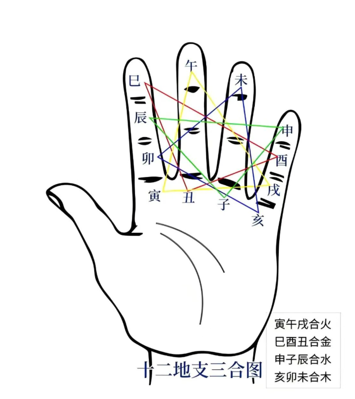 十二地支掌诀图