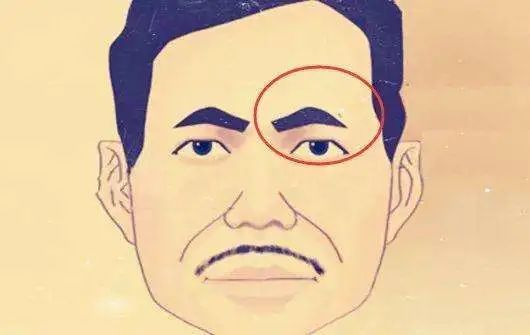 权贵的把握者，眉骨带金凸！