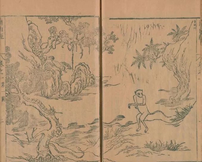 一部失落的上古神书 《山海经》：究竟讲了什么