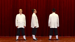 爆火的道家功法；勤练正气存内，邪不可干！