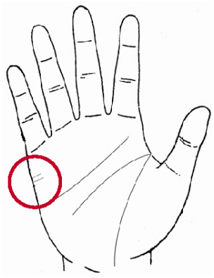 简单“手相学”，一分钟学会！