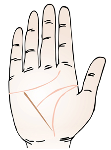 简单“手相学”，一分钟学会！