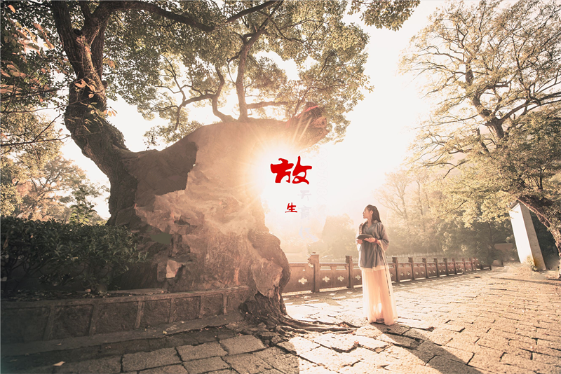 文章标题-3 放生矿泉水、放生鱼豆腐,这个世界终于癫成我看不懂的样子!