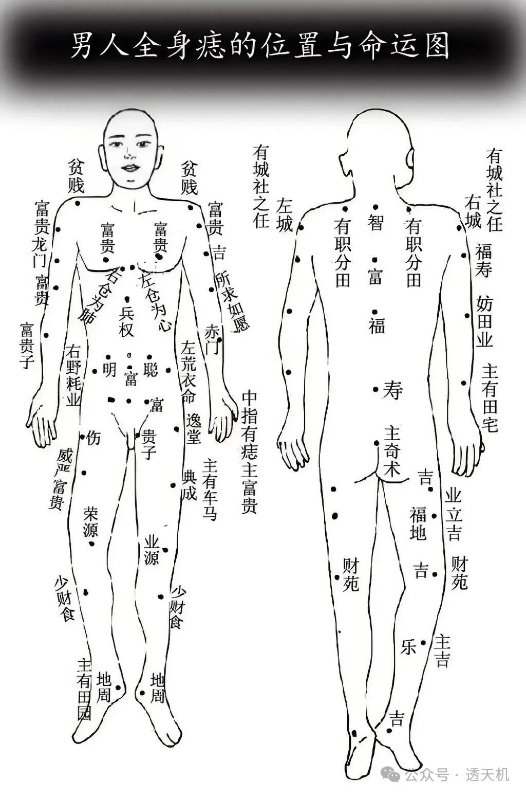 男全身痣相图解