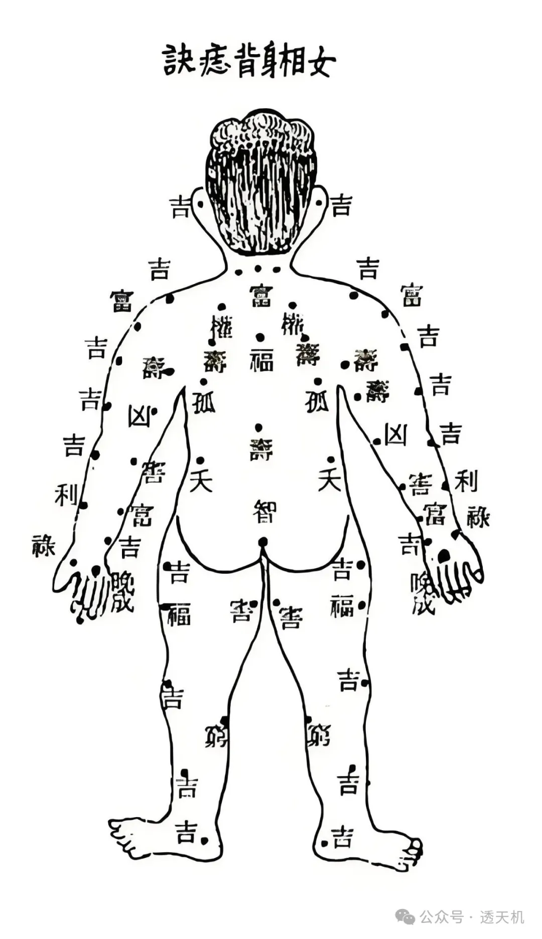 男全身痣相图解