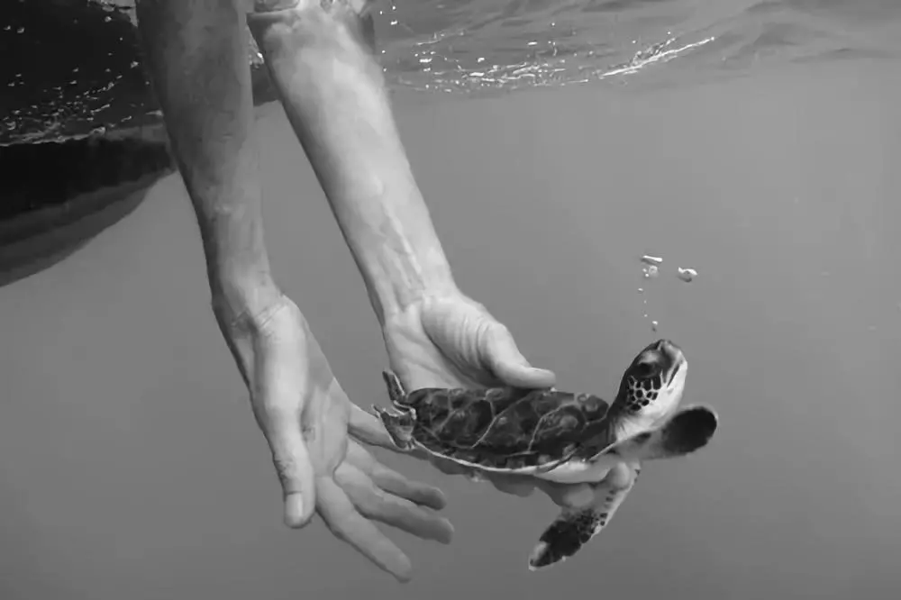 文章标题-4 七种情况下千万不能杀生!