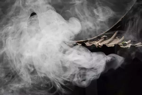 为什么你的放生没有功德？这才是道家放生的正确方法！