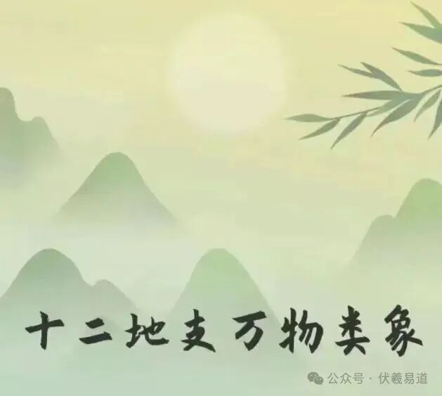 十二地支万物类象的精细归类与解析