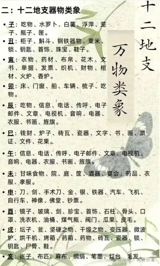 十二地支万物类象的精细归类与解析