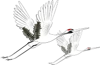 文章标题-3 破相影响运势,都代表着哪些寓意?